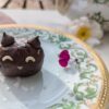Truffle Cats