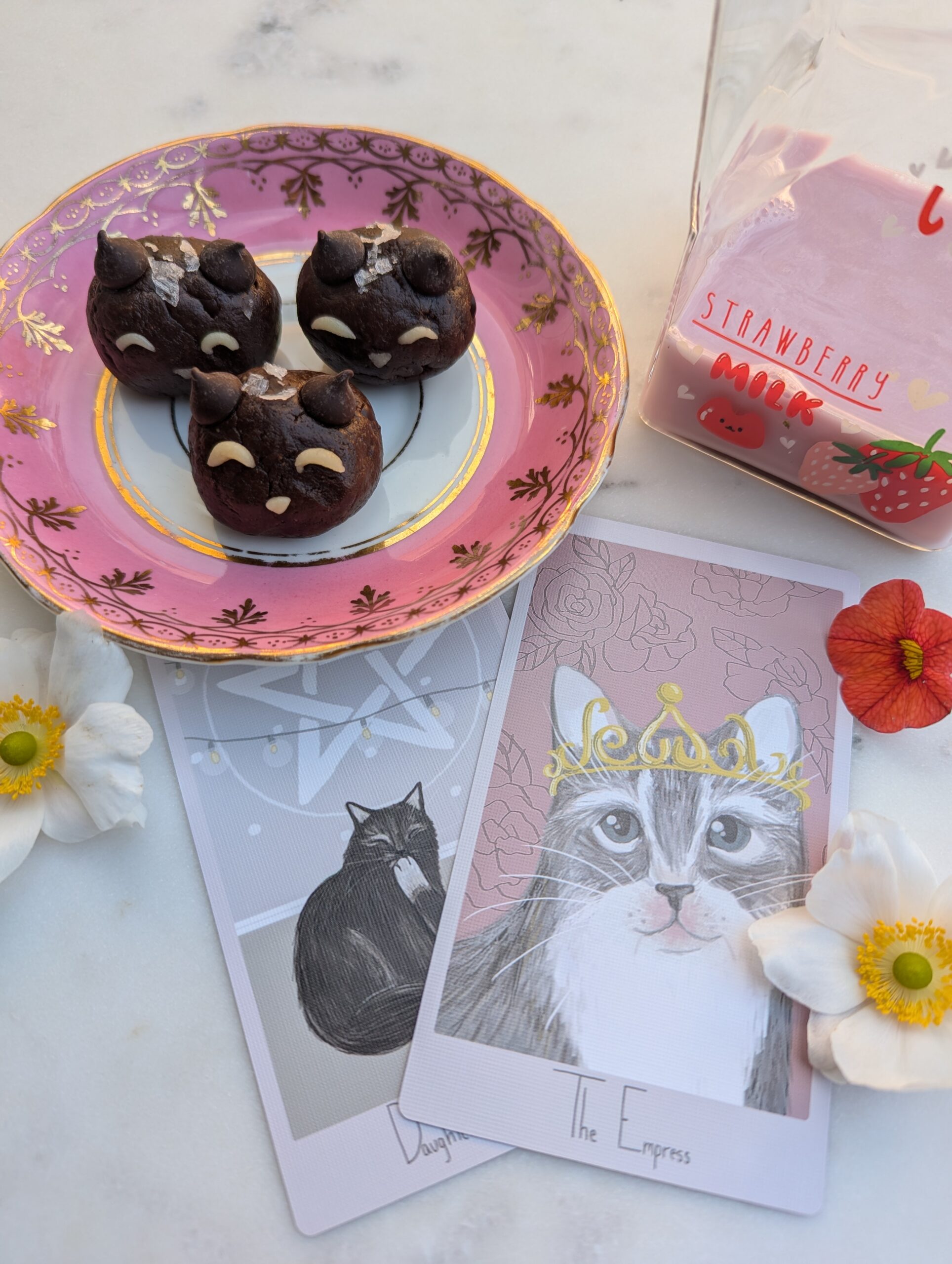 Truffle Cats