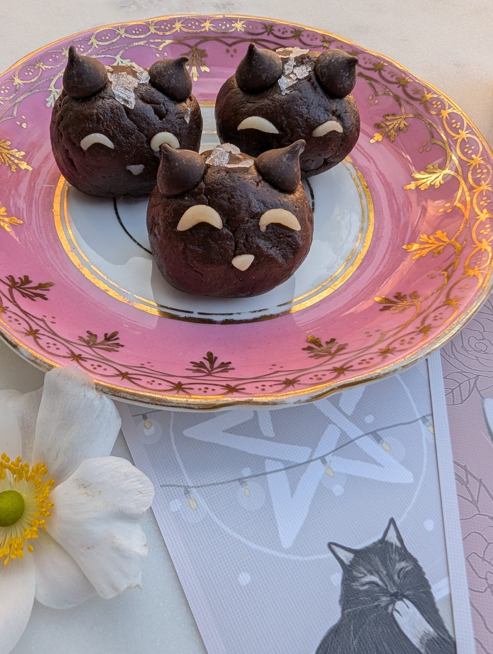 Truffle Cats