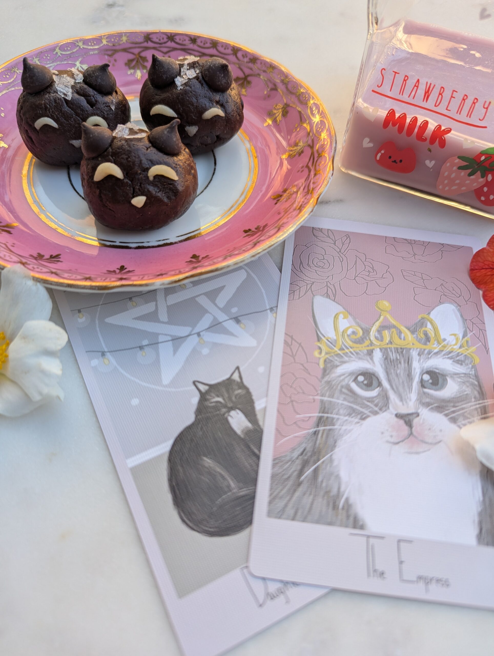 Truffle Cats