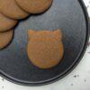 Ginger Cats