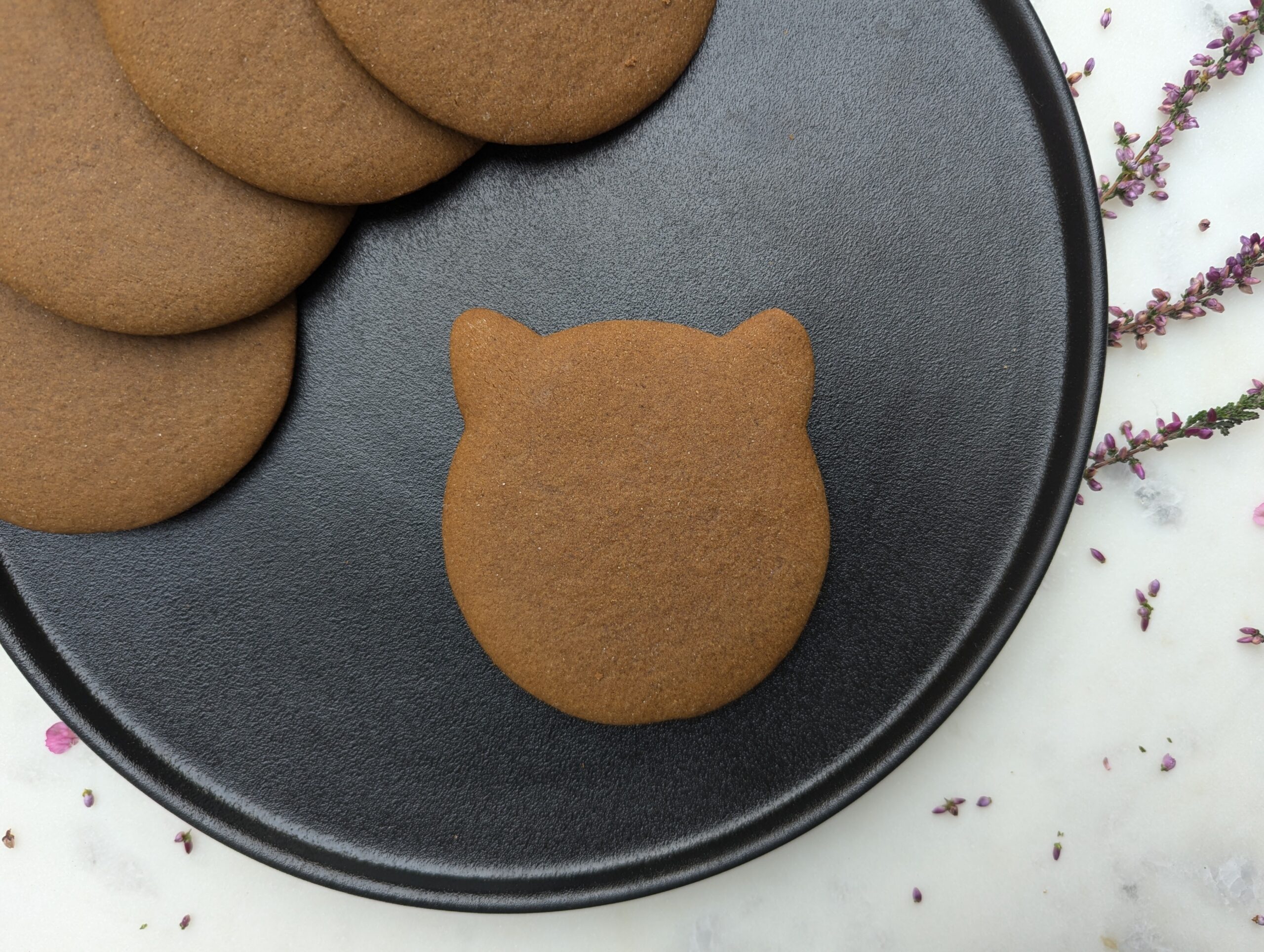 Ginger Cats